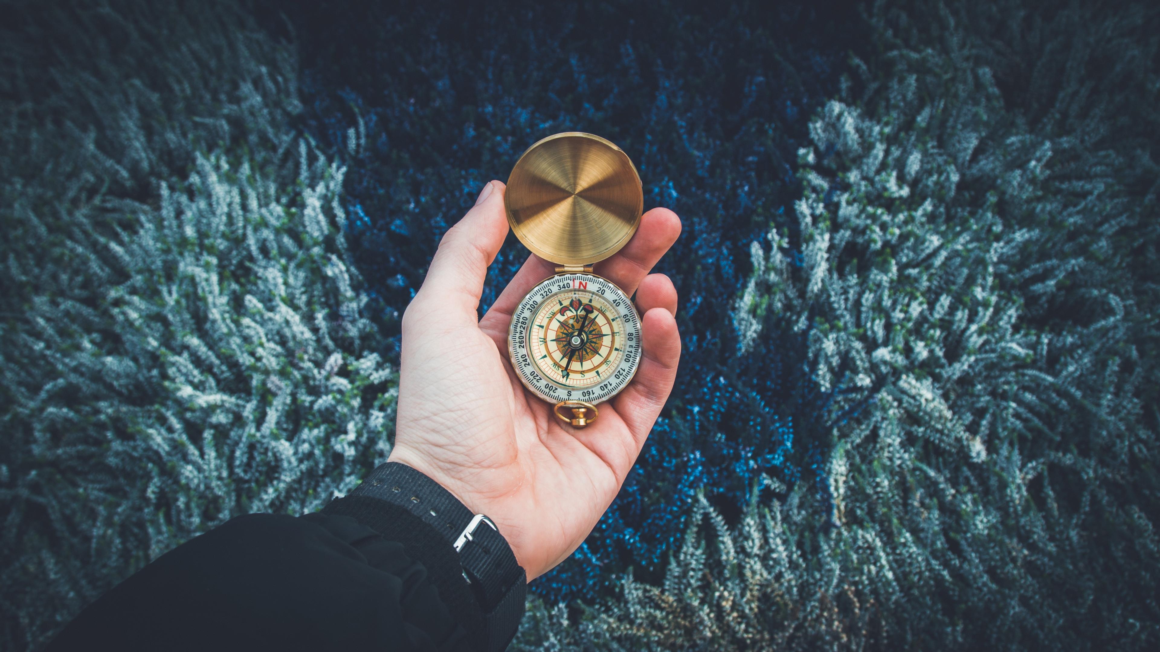 The Expected and Real Impacts of Procurement Tools: Studies and Stories