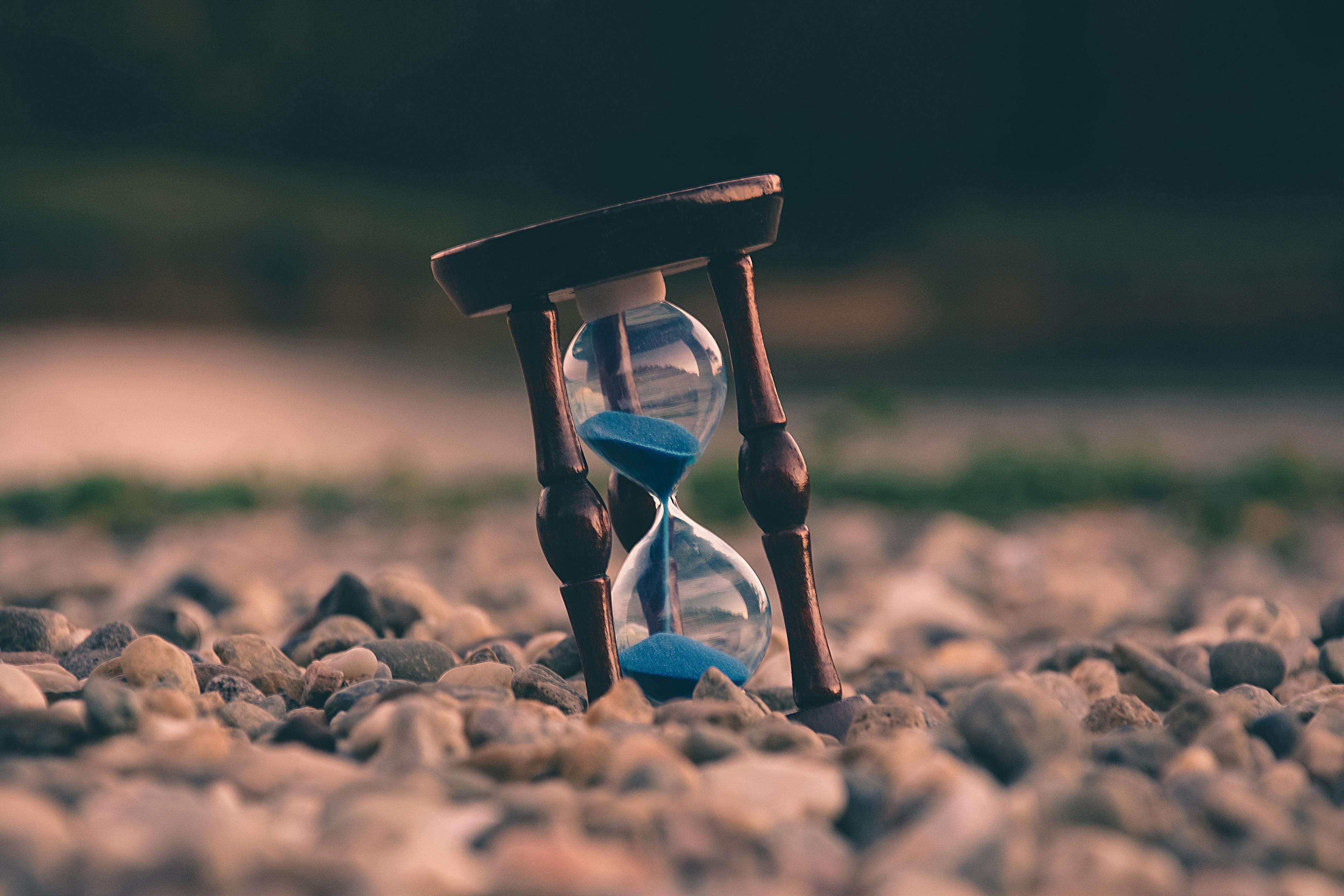 How to Implement Procurement Solutions: Costs and Timelines