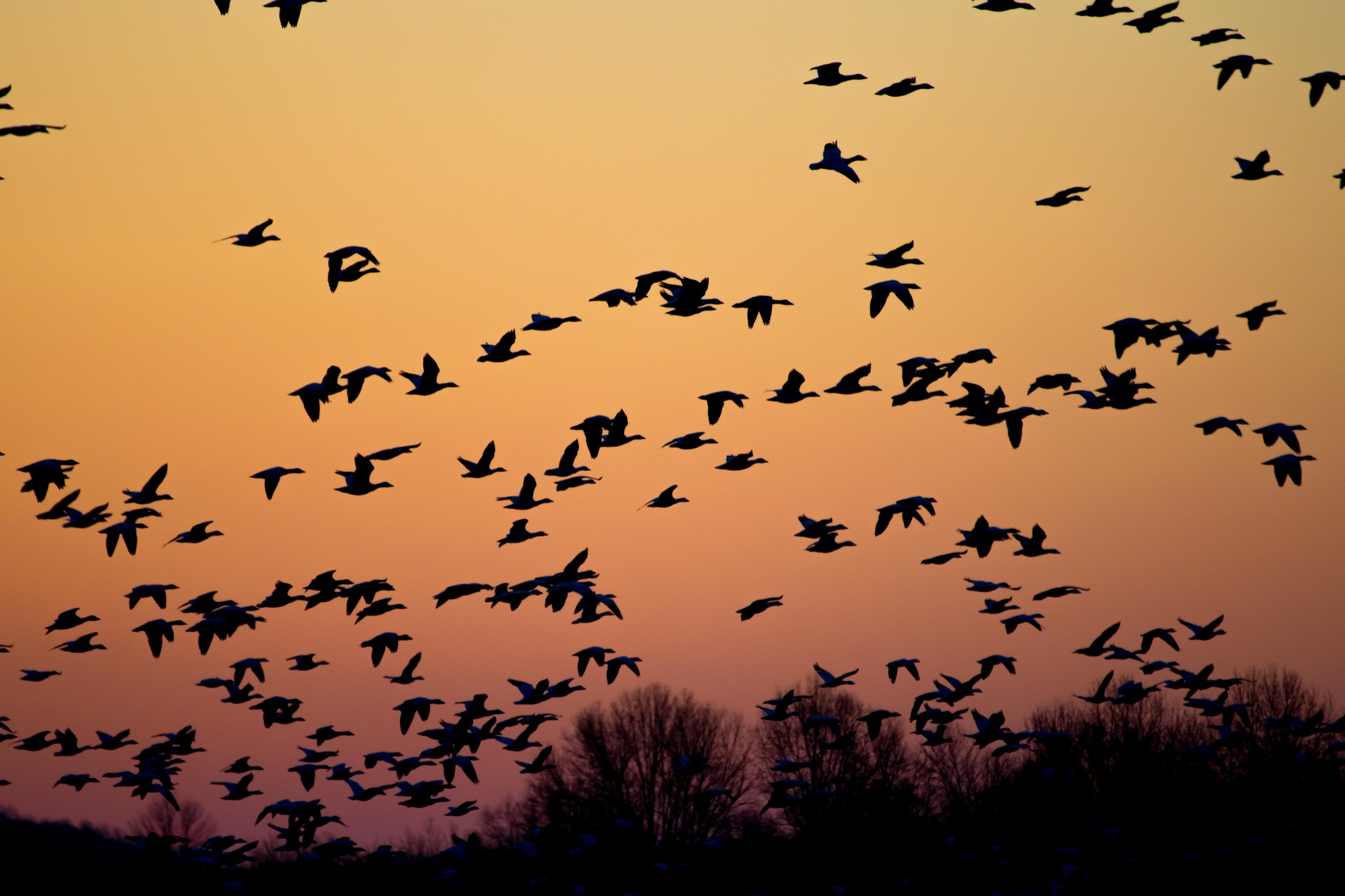 6 Steps to Ensure Accurate and Holistic Data Migration between Solutions