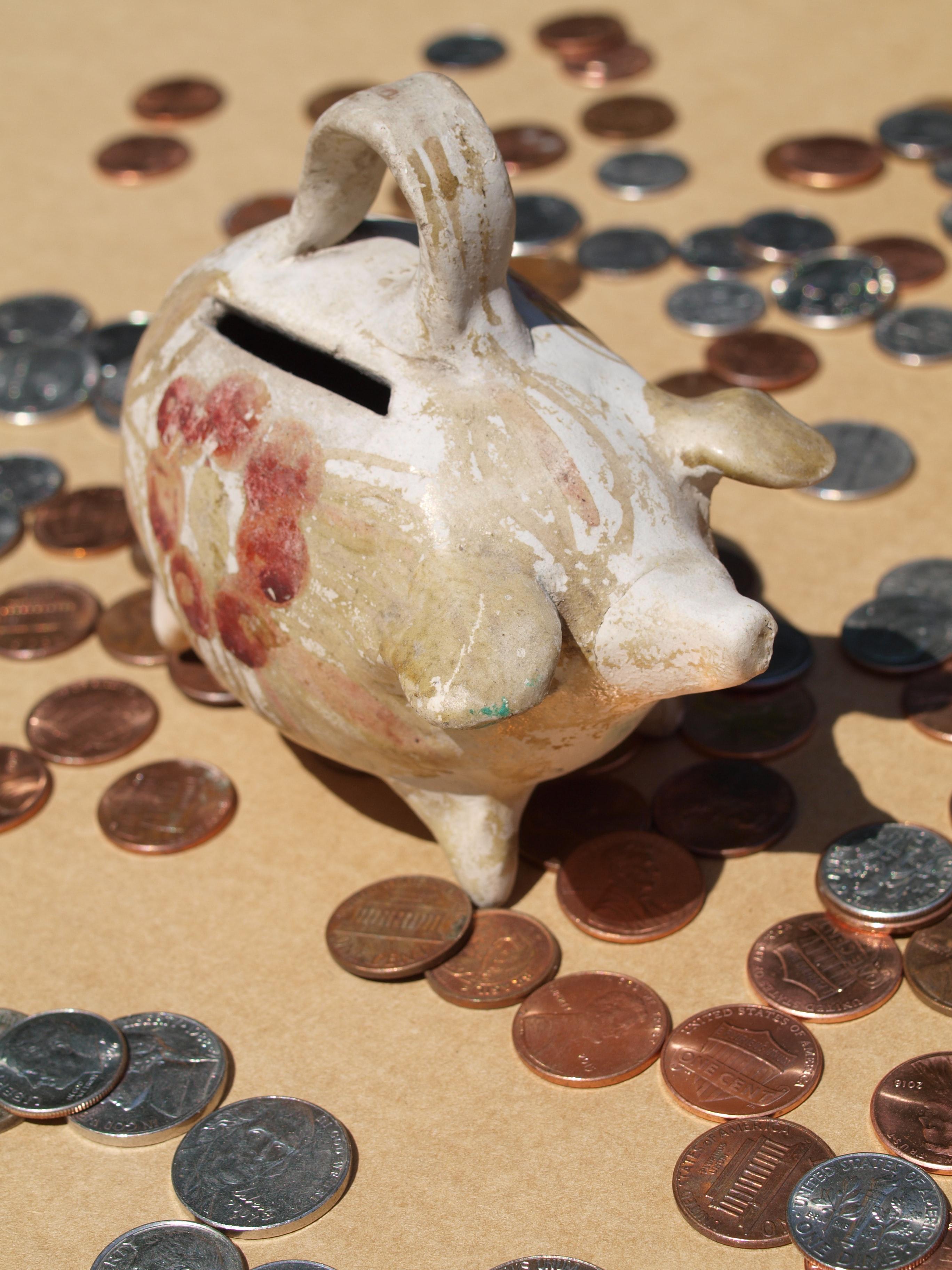Financial Planning, Budgeting and Forecasting using Procurement Software: A Guide