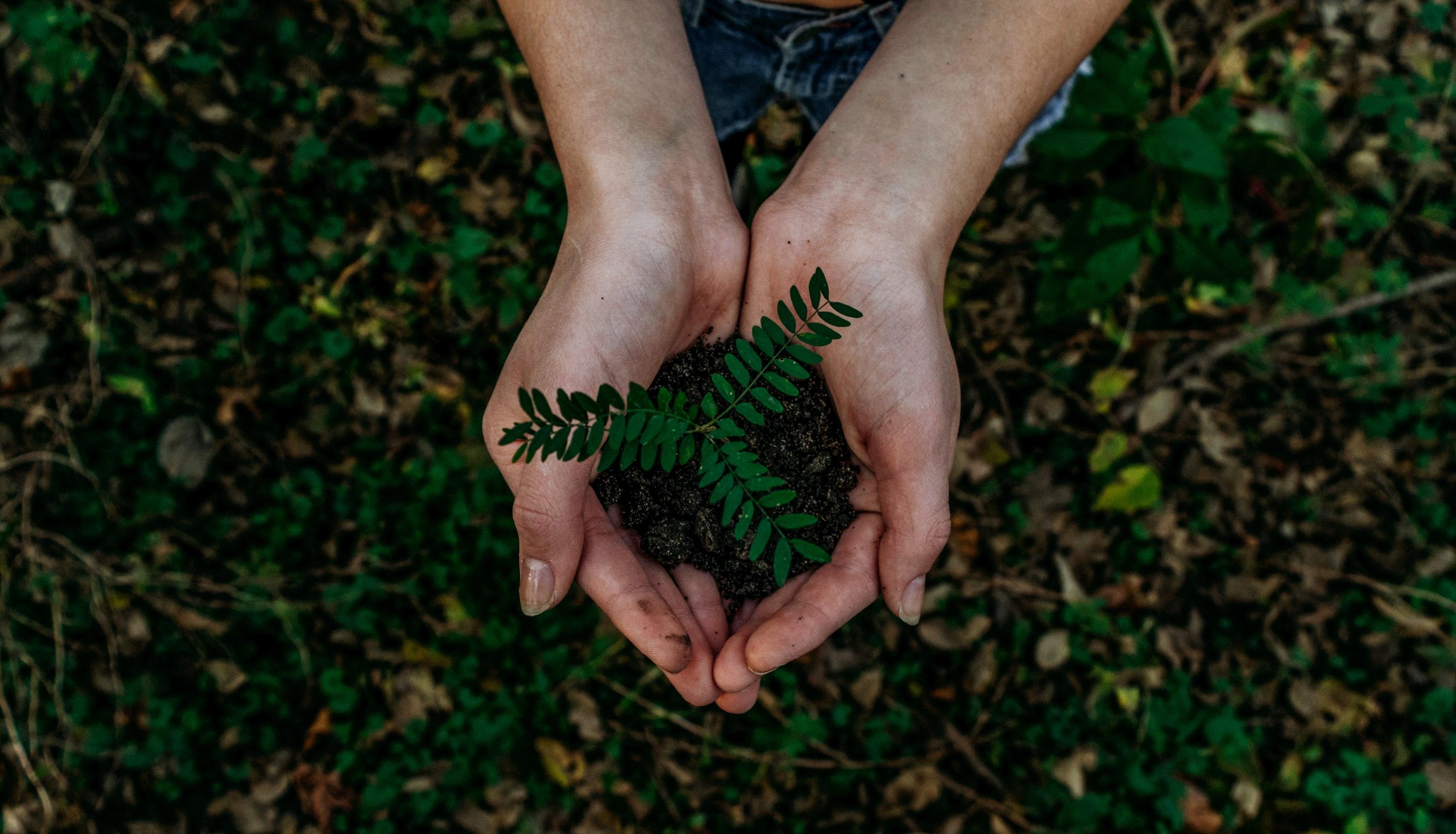 Sustainable Supply Chains and the Future of Procurement