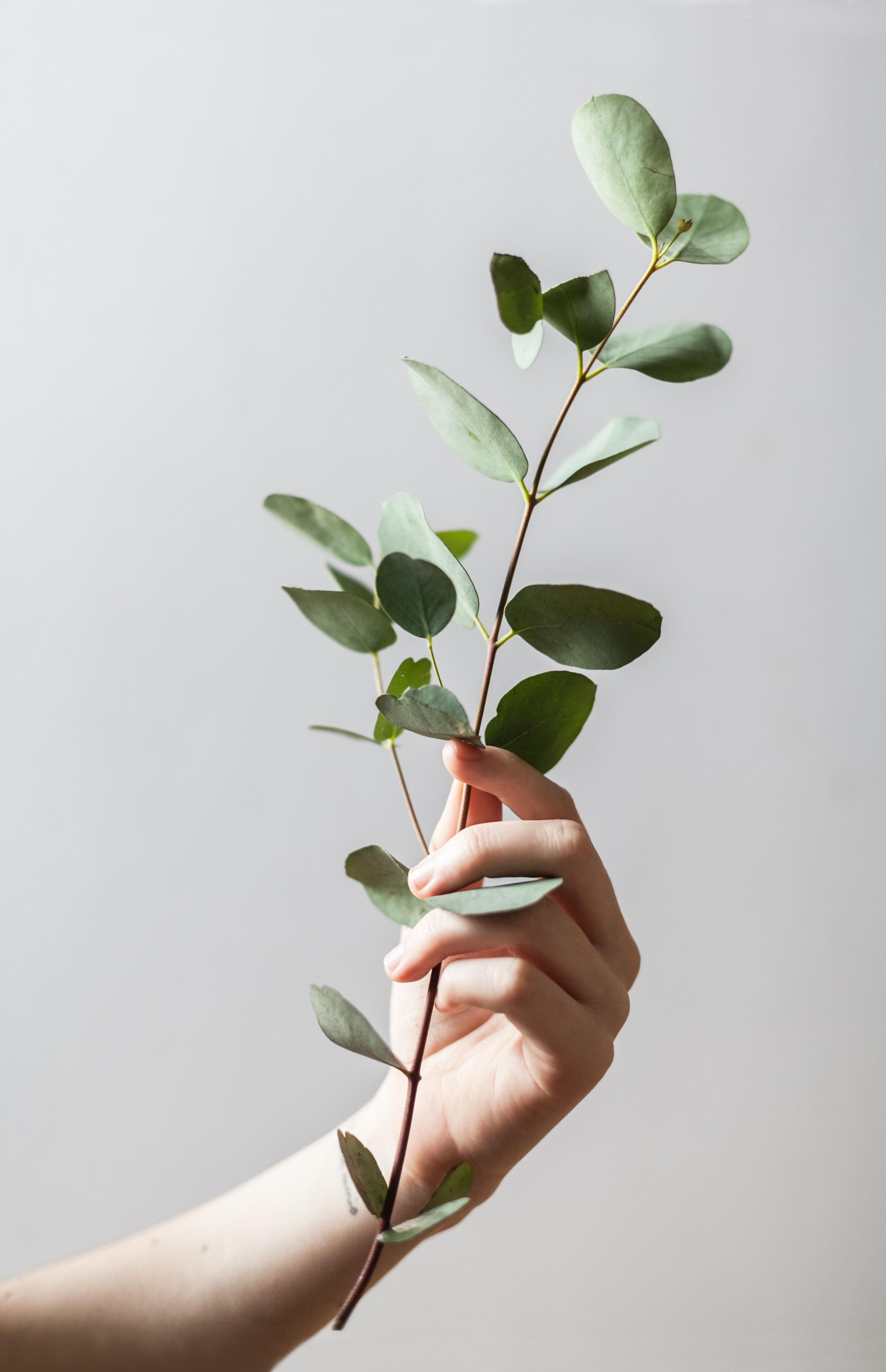 Sustainable Procurement: Opportunities and Challenges