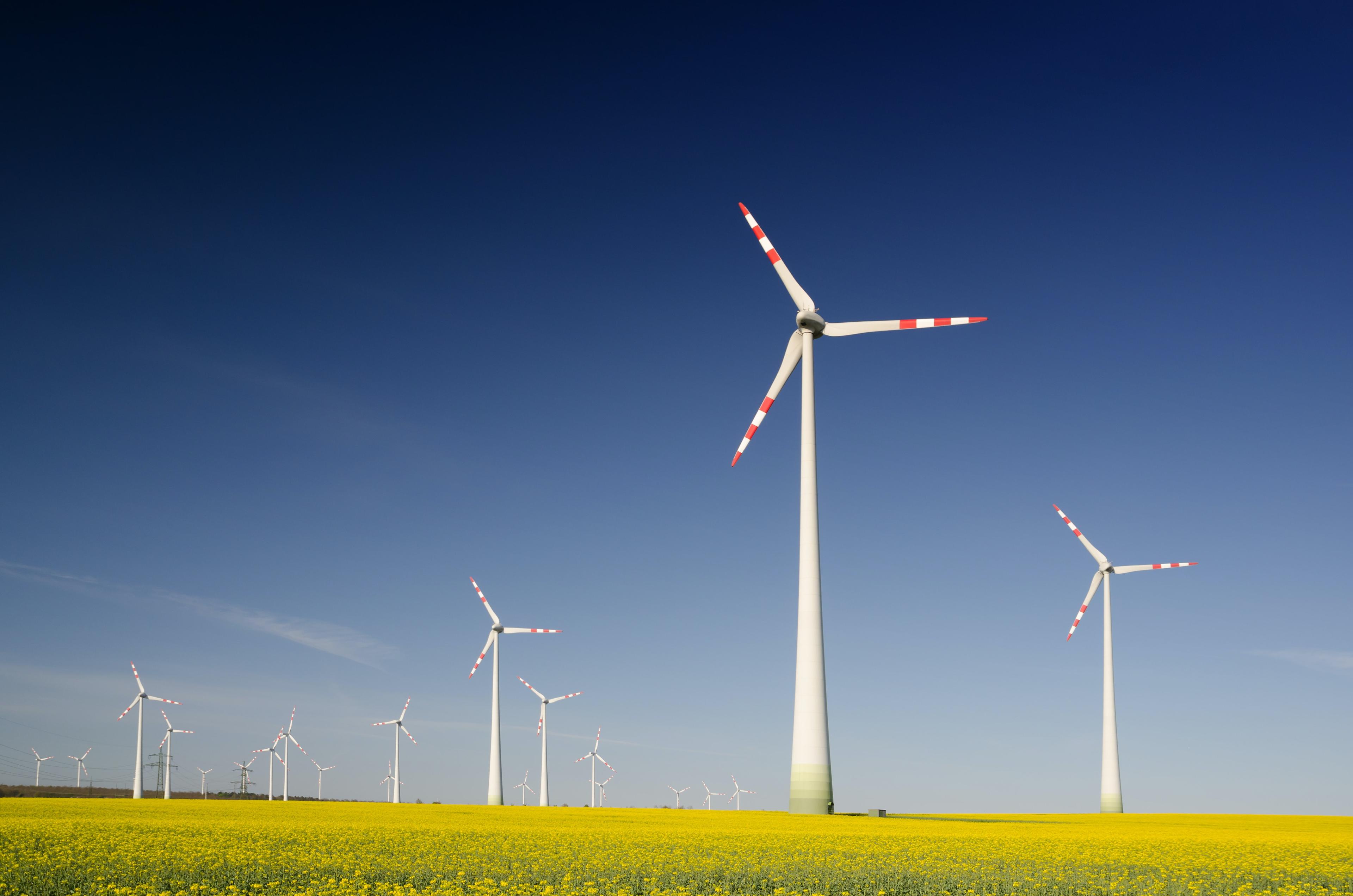 4 Positive Impacts of Purchase Orders on Sustainability Efforts